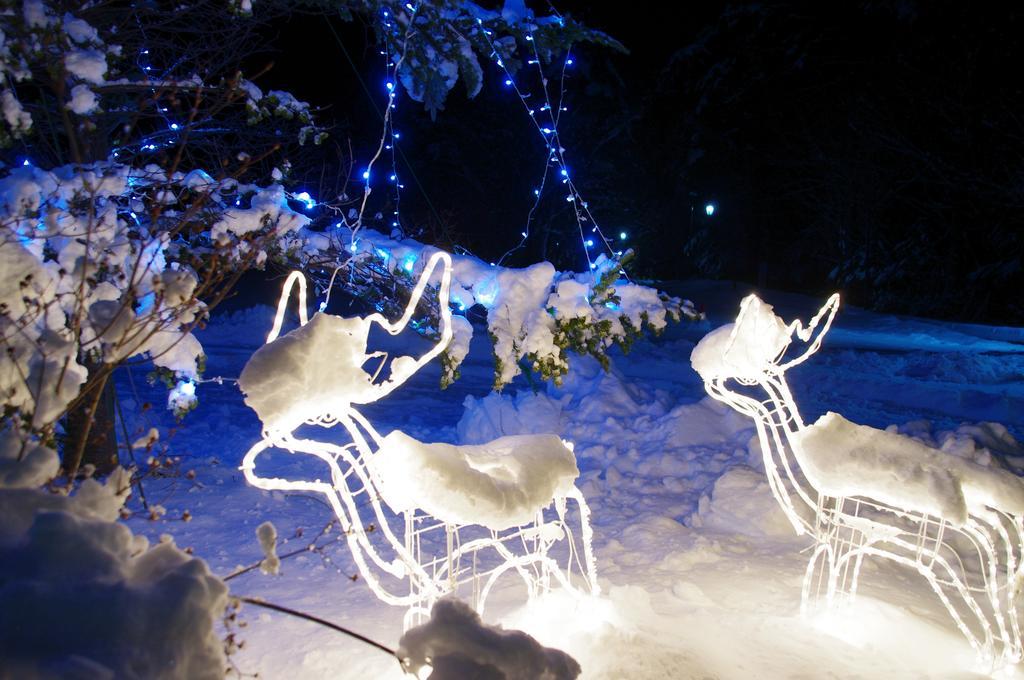 Kusatsu Skyland Hotel Zewnętrze zdjęcie
